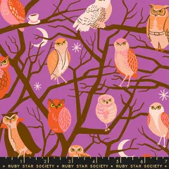 Ruby Star Society - Freaky Familiars - Who Cooks For You Novelty Owls Nature Trees - Witchy