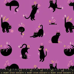 Ruby Star Society - Freaky Familiars - Catwalk Novelty Cats Childrens - Witchy