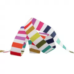 Tula Pink Webband 5/8 Rainbow Stripes - Tula Pink - Tabby Road