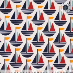 CANVAS - Cloud 9 Fabrics - Ocean Motion - Boat