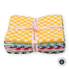 Frontalansicht des Fat Quarter Bundles Gingham Picnic mit vollständigem Farbverlauf