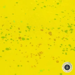 Extreme Nahaufnahme der Speckled-Musteroberfläche in Citron mit sichtbaren Gold-Glitzerakzenten