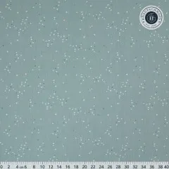 Musterdetail der Sternenstreuung in Sky mit Lineal zum Größenvergleich