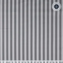 Größere Musterübersicht des Streifenmusters „Tent Stripe" in Fog, Lineal (0–40 cm) zum Größenvergleich.