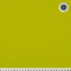 Art Gallery Fabrics - Pure Solids - Parrot
