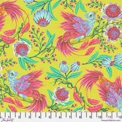 Farbenfrohe Phoenix-Vögel zwischen Protea-Blüten und Ranken auf giftgrünem Fond.