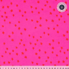 Ruby Star Society - Blenders Star Nature Novelty Fun - Starry - Vivid Pink