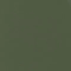 Moda Bella Solids - Kansas Green (149)