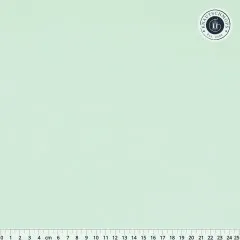 Art Gallery Fabrics - Pure Solids - Tender Green