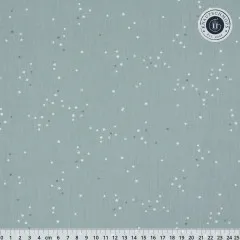 Art Gallery Fabrics - Adventale - Twinkle little Stars Sky