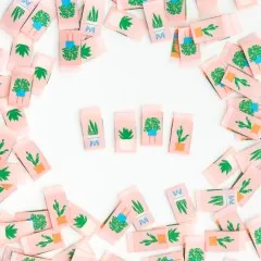 Je ein Weblabel mit Grasähre, Sukkulente, Monstera und Kaktus im Topf nebeneinander angeordnet, umgeben von weiteren verstreuten Labels.