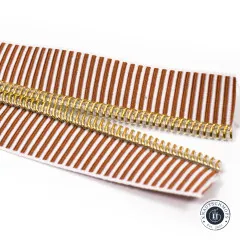 Nahaufnahme der geöffneten Zahnreihe des Reißverschlussbands Earth Stripe mit goldfarben glänzenden Zähnen.